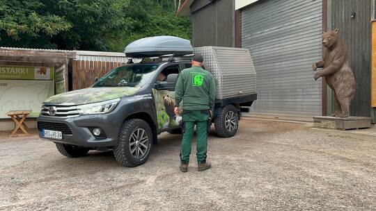 Anunkft der Wildbärin Gaia im Bärenpark Anunkft der Wildbärin Gaia im Bärenpark