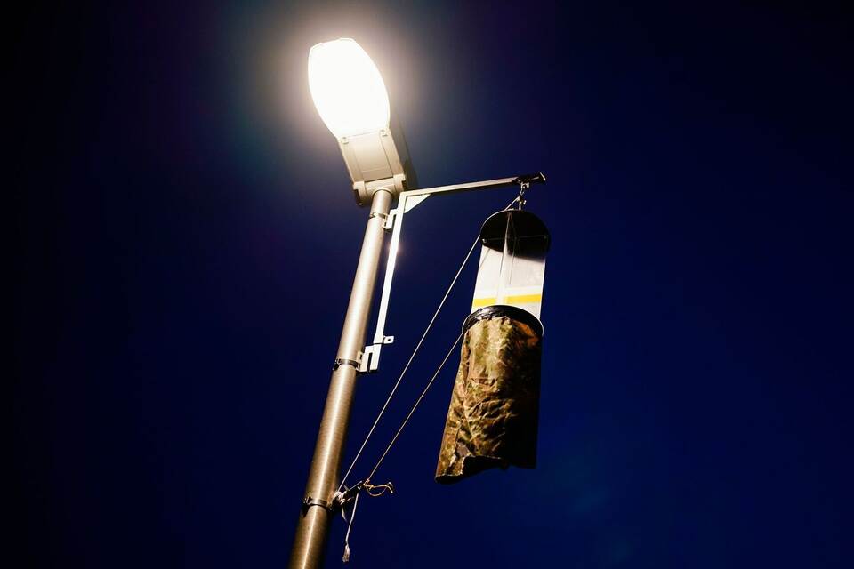 Forscher tüfteln an insektenfreundlicher Beleuchtung