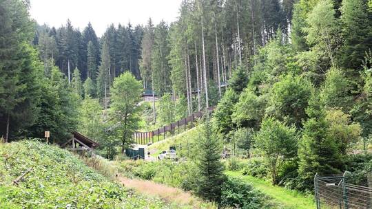 Problembärin Gaia kommt in den Bärenpark Problembärin Gaia kommt in den Bärenpark