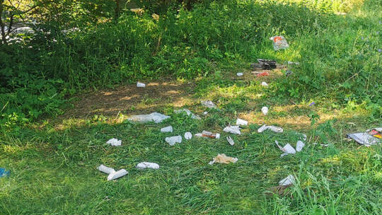 Regelverstöße in Pforzheims Grünanlagen wie hier am Davosweg können künftig teuer und aufgrund einer eigenen städtischen Satzung