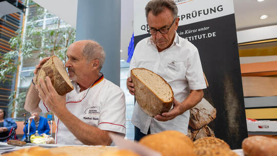 Riecht und schmeckt das Brot auch wirklich gut? Die Brottester Manfred Stiefel und Manfred Förster sind mit Eifer bei der Arbeit Brotprüfung Volksbankhaus