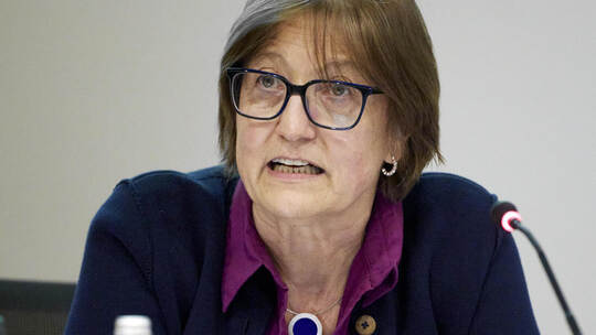 Bürgermeisterstellvertreterin Margit Stähle (FWG) leitet die Mönsheimer Gemeinderatssitzung.