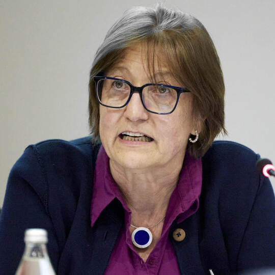 Sie bleiben zu zweit: Die beiden ehrenamtlichen Bürgermeisterstellvertreter Margit Stähle (FWG) und Joachim Baumgärtner (UBLM). Bürgermeisterstellvertreterin Margit Stähle (FWG) leitet die Mönsheimer Gemeinderatssitzung.