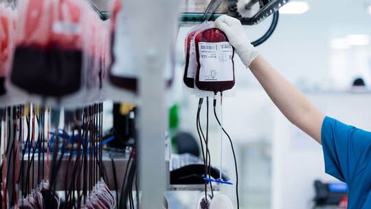 Zentrallabor Blutspende Zentrallabor Blutspende