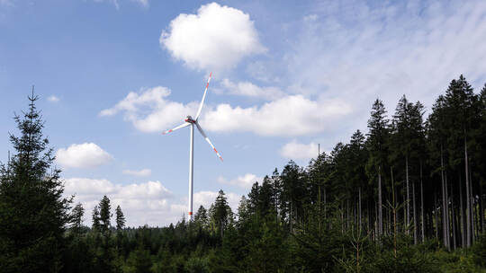 Windrad im Wald