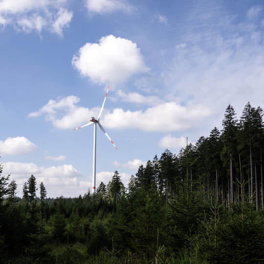 Windrad im Wald