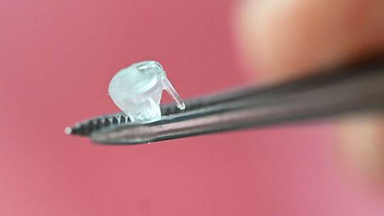 Bioprinting von Herzklappen