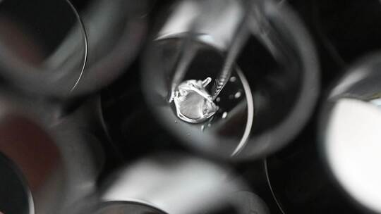 Bioprinting von Herzklappen