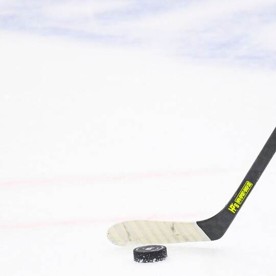 Schwenninger Wild Wings - Iserlohn Roosters