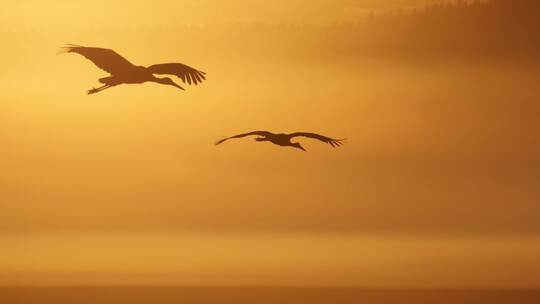 Wetter in Baden-Württemberg Wetter in Baden-Württemberg