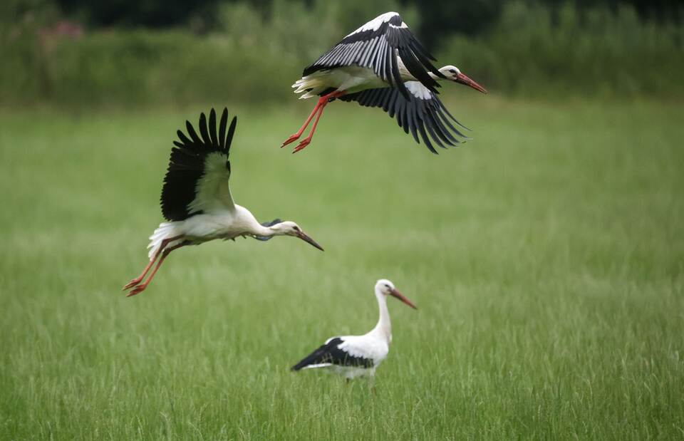 Wetter in Baden-Württemberg Wetter in Baden-Württemberg