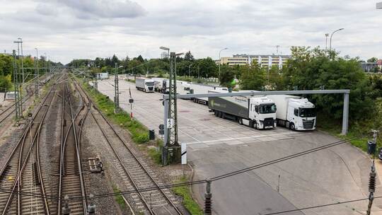 Beschränkungen in Freiburg nach Fund von Japankäfer
