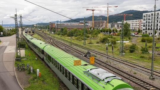 Beschränkungen in Freiburg nach Fund von Japankäfer Beschränkungen in Freiburg nach Fund von Japankäfer