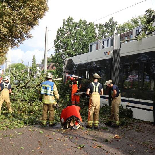 Baum stürzt bei Unwetter auf Straßenbahn Baum stürzt bei Unwetter auf Straßenbahn