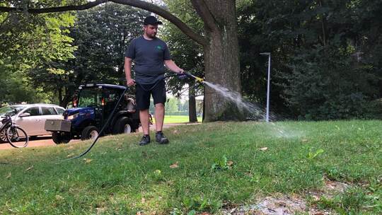 Fadenwürmer gegen Japankäfer Fadenwürmer gegen Japankäfer