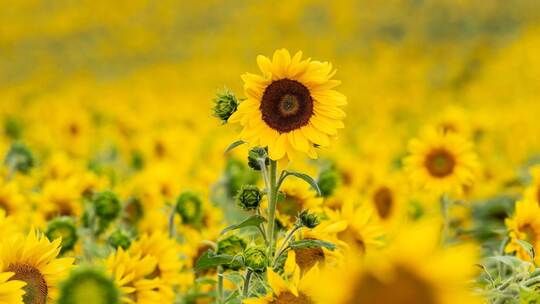 Wetter in Baden-Württemberg Wetter in Baden-Württemberg