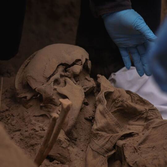 Massengrab in Mexiko entdeckt