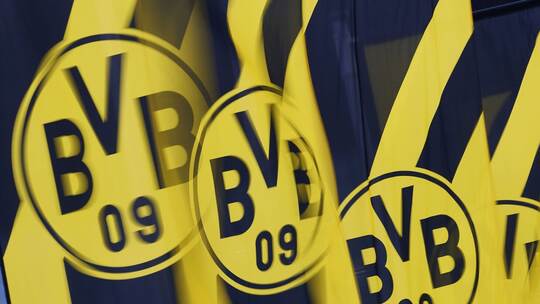 BVB geht juristisch gegen Wahlwerbung der AfD vor BVB geht juristisch gegen Wahlwerbung der AfD vor