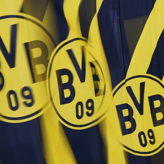 BVB geht juristisch gegen Wahlwerbung der AfD vor