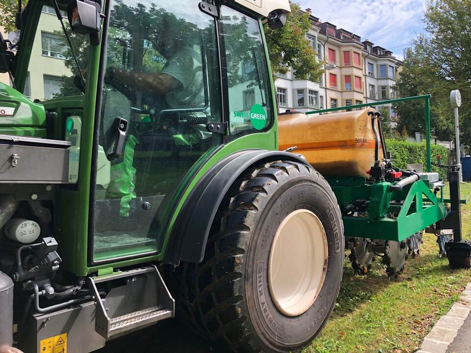 Fadenwürmer gegen Japankäfer