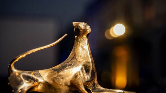 78. Internationales Filmfestival Locarno