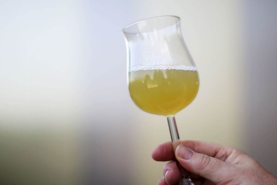 Federweißer in einem Glas.