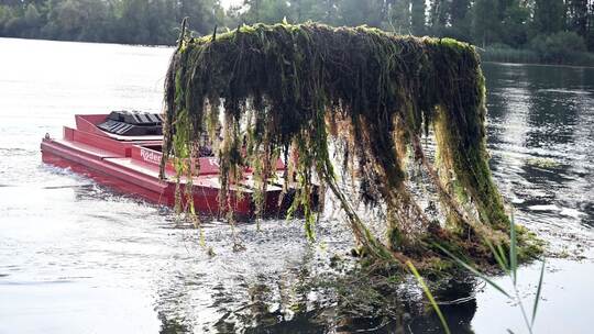 Algenbeseitigung an einem Baggersee