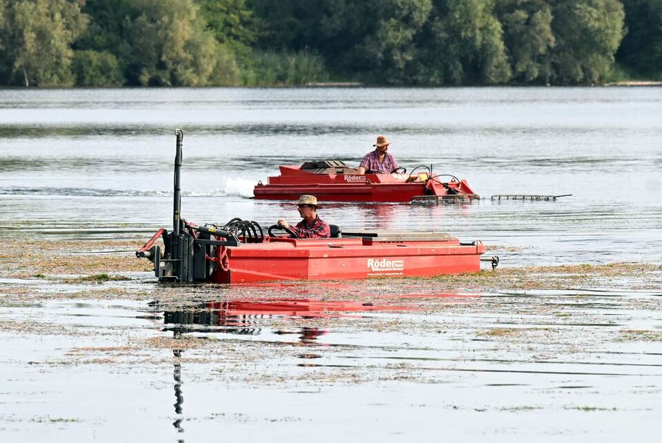 Algenbeseitigung an einem Baggersee