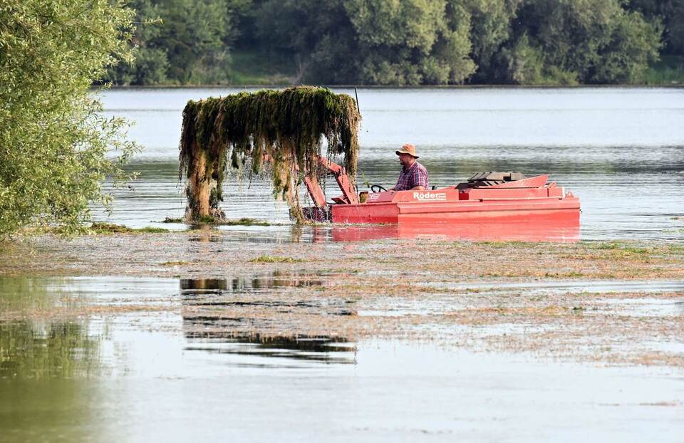 Algenbeseitigung an einem Baggersee