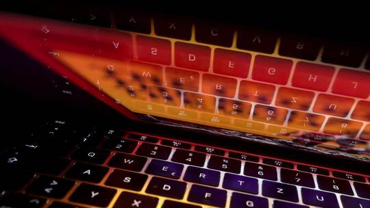 Beute von Kunden, die auf Fake-Online-Shops hereingefallen waren, hat eine 25-Jährige aus dem östlichen Enzkreis im Auftrag als Opfer von Cyberkriminalität