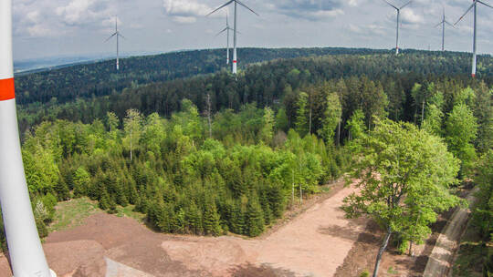 Um Windräder bauen zu können, müssen breite Wege und große Lagerflächen im Wald geschaffen werden – so wie hier in der Vergangen