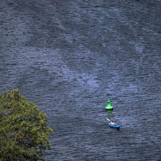 Paddler