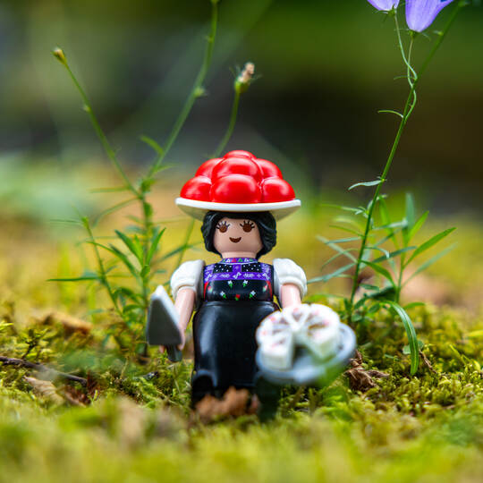 Schwarzwald Marie Verlosung