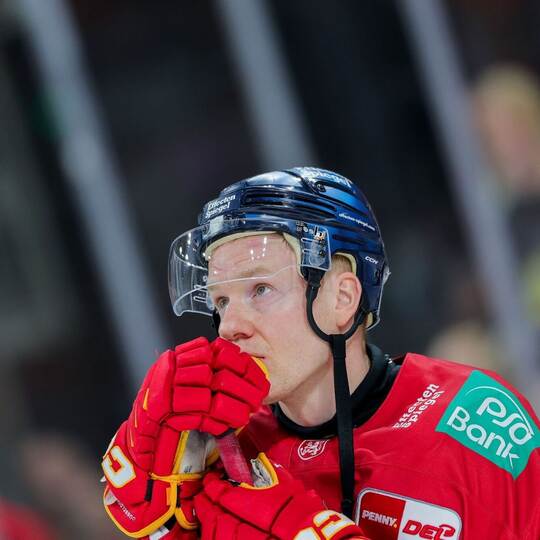 Düsseldorfer EG - Grizzlys Wolfsburg