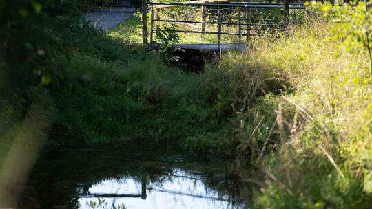 Leiche in Koffer am Stadtrand von Filderstadt gefunden Leiche in Koffer am Stadtrand von Filderstadt gefunden