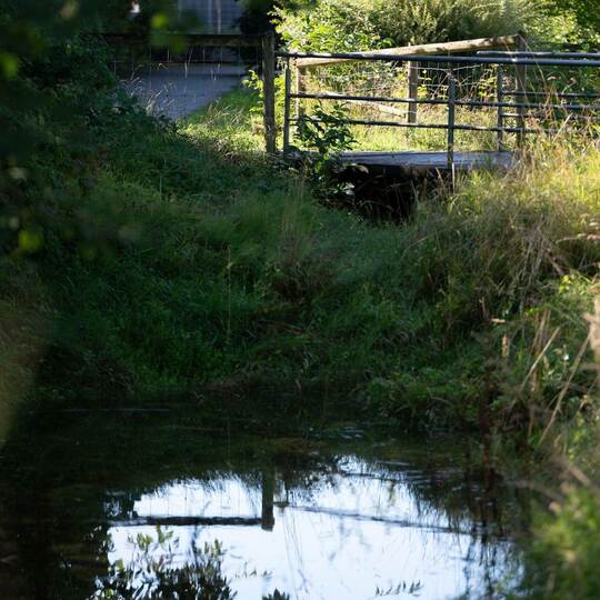Leiche in Koffer am Stadtrand von Filderstadt gefunden