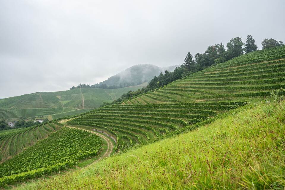 Wetter in Baden-Württemberg Wetter in Baden-Württemberg