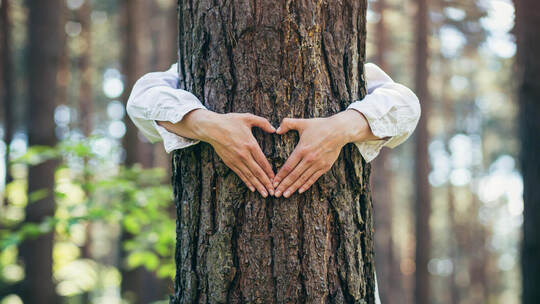 Es gibt Orte, da geht einem einfach das Herz auf. Liubomir - stock.adobe.com hands of a young woman hug a tree in the forest and show a sign of heart and love for nature