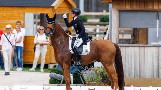 FEI Dressur Europameisterschaft 2025 FEI Dressur Europameisterschaft 2025