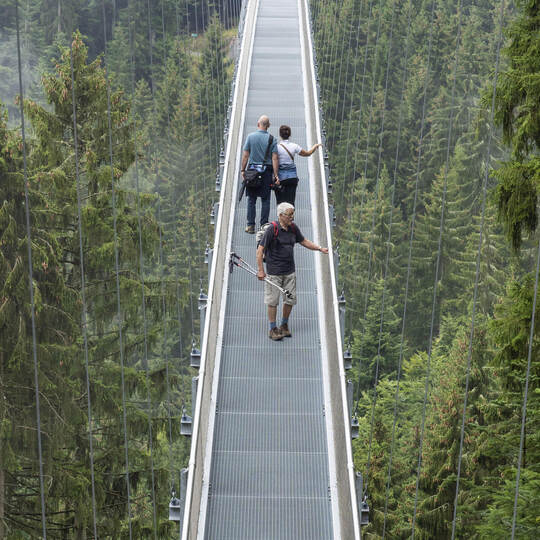 Schau mal wo ich lebe - Wildline Bad Wildbad