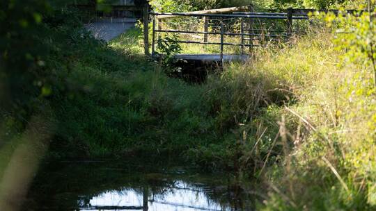 Leiche in Koffer am Stadtrand von Filderstadt gefunden