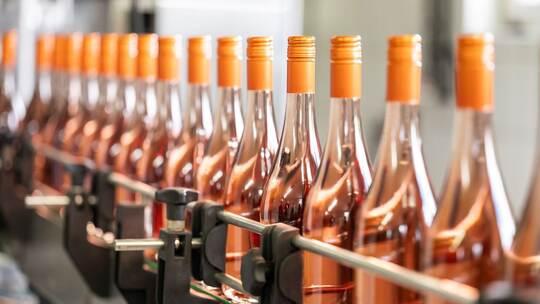 Foto-Termin: Weinlese und Weinmischgetränke Foto-Termin: Weinlese und Weinmischgetränke