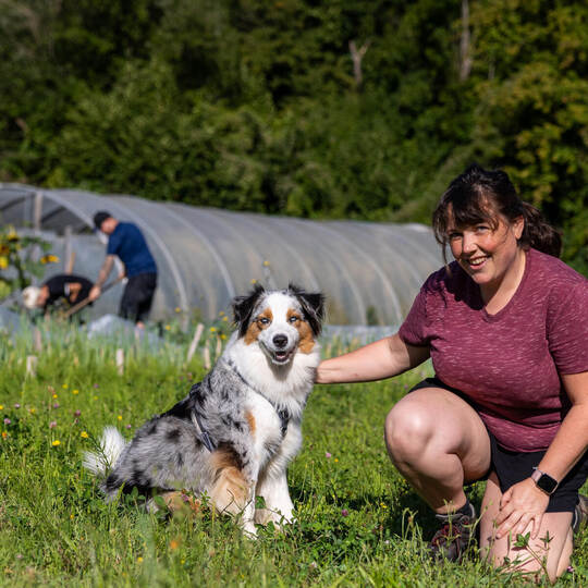 QPrints Gärtnerei Hund