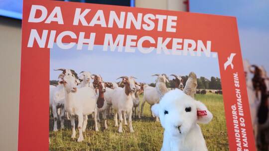 Frühere Kampagne für Brandenburg «Da kannste nich meckern» Frühere Kampagne für Brandenburg «Da kannste nich meckern»