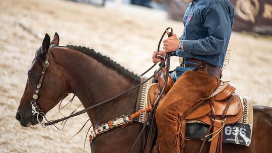 Die Western-Messe Americana - Traum vom Wilden Westen am Bodensee