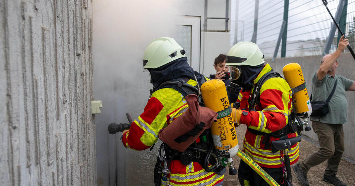 Tree planting challenge continues: Fire departments such as Engelsbrand ...