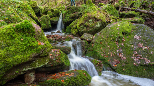 Im Bild ist die Monbachschlucht zu sehen. Ein weiterer Teil der Wanderung besteht aus der Wolfsschlucht. Foto: Alex Kijak
