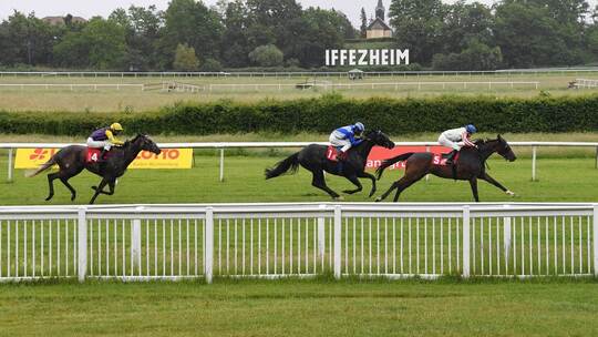 Galopp