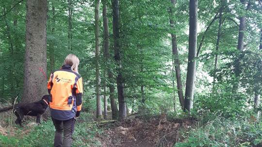 Kleine Maßnahme, große Wirkung: eine Versickerungsgumpe im Remchinger Wald.