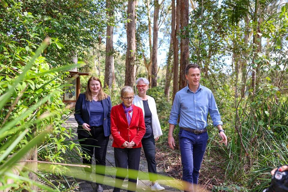 Großes Koala-Nationalparkprojekt in Australien